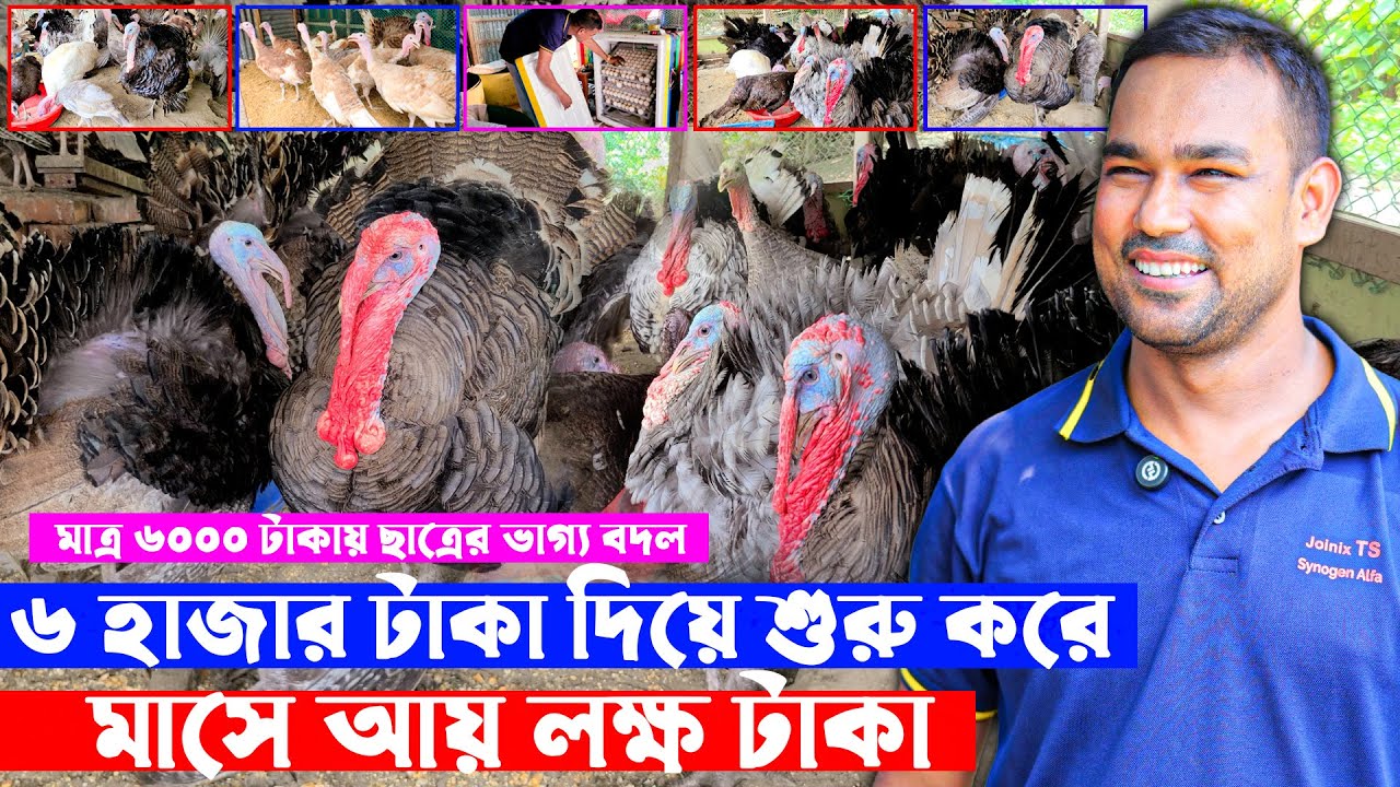 মাত্র ৬০০০ টাকার টার্কি খামার করে ছাত্রের ভাগ্য বদল || এখন মাসে আয় লাখ টাকা ! Soha Agro - সোহা এগ্রো