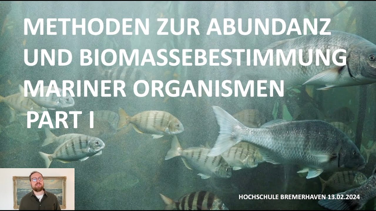 Methoden zur Abundanz und Biomassebestimmung in marinen Organismen