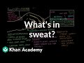 What's in sweat? (Holocrine, Apocrine, Merocrine Glands) | NCLEX-RN | Khan Academy