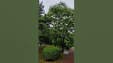 거리에서 유익종 