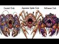 Explaining the 10 Strangest Crabs in the Ocean