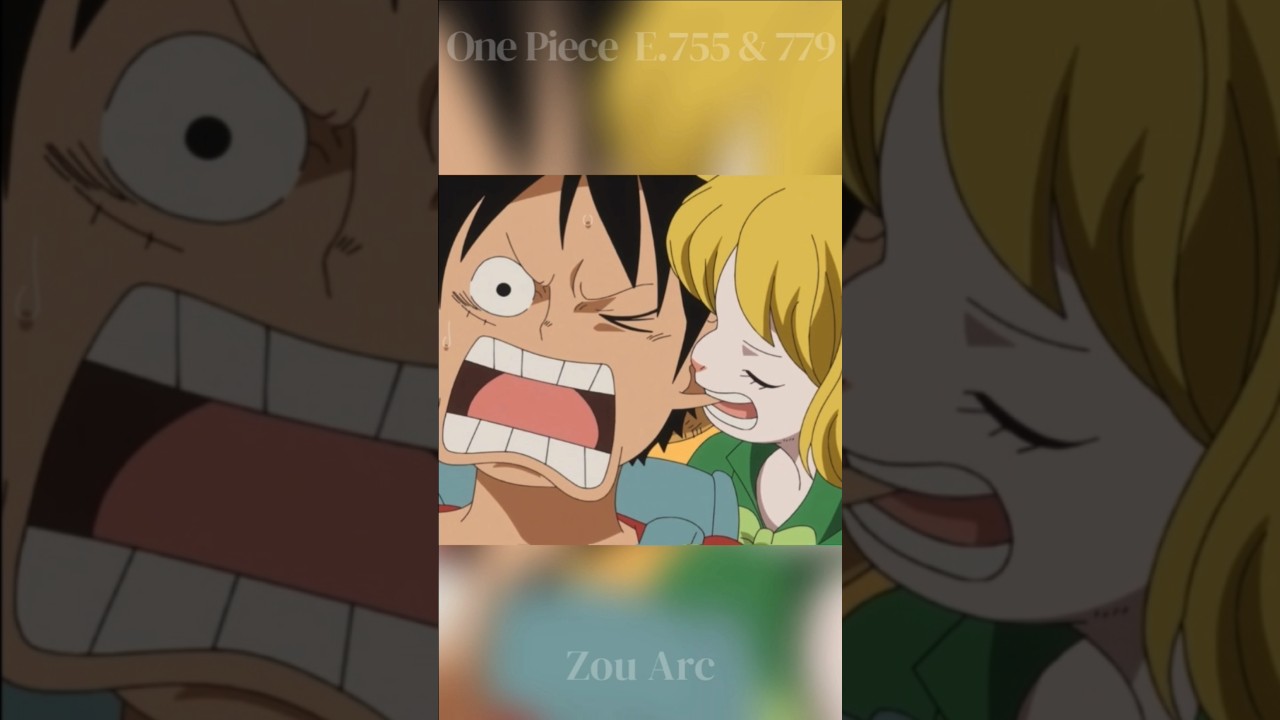 Carrot Loves Biting Luffy 🥕 