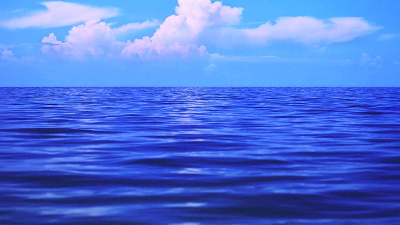 У моря у синего моря