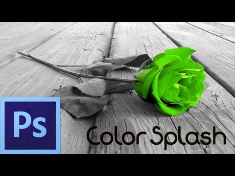 Photoshop CS Tutorial: Color Splash Effect (For Beginners)