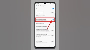 #shorts #shortsfeed #shortvideo Automatic System Updates Developer Options