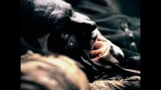 Mushroomhead - Solitaire Unraveling [HQ]