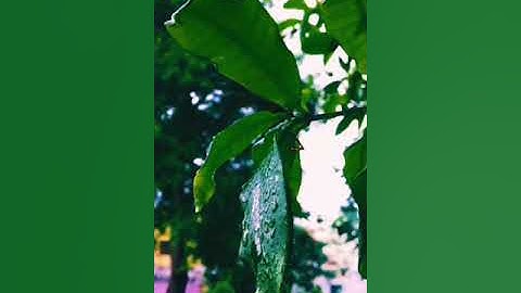 Brainware University Campus View #kolkata  #barasat  #brainware  #university  #2k22