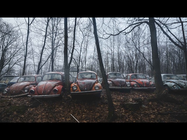 Rare Abandoned Volkswagen Beetle Graveyard in the US!! class=