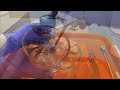 Antimicrobial Sensitivity Testing: Onion and garlic preparation