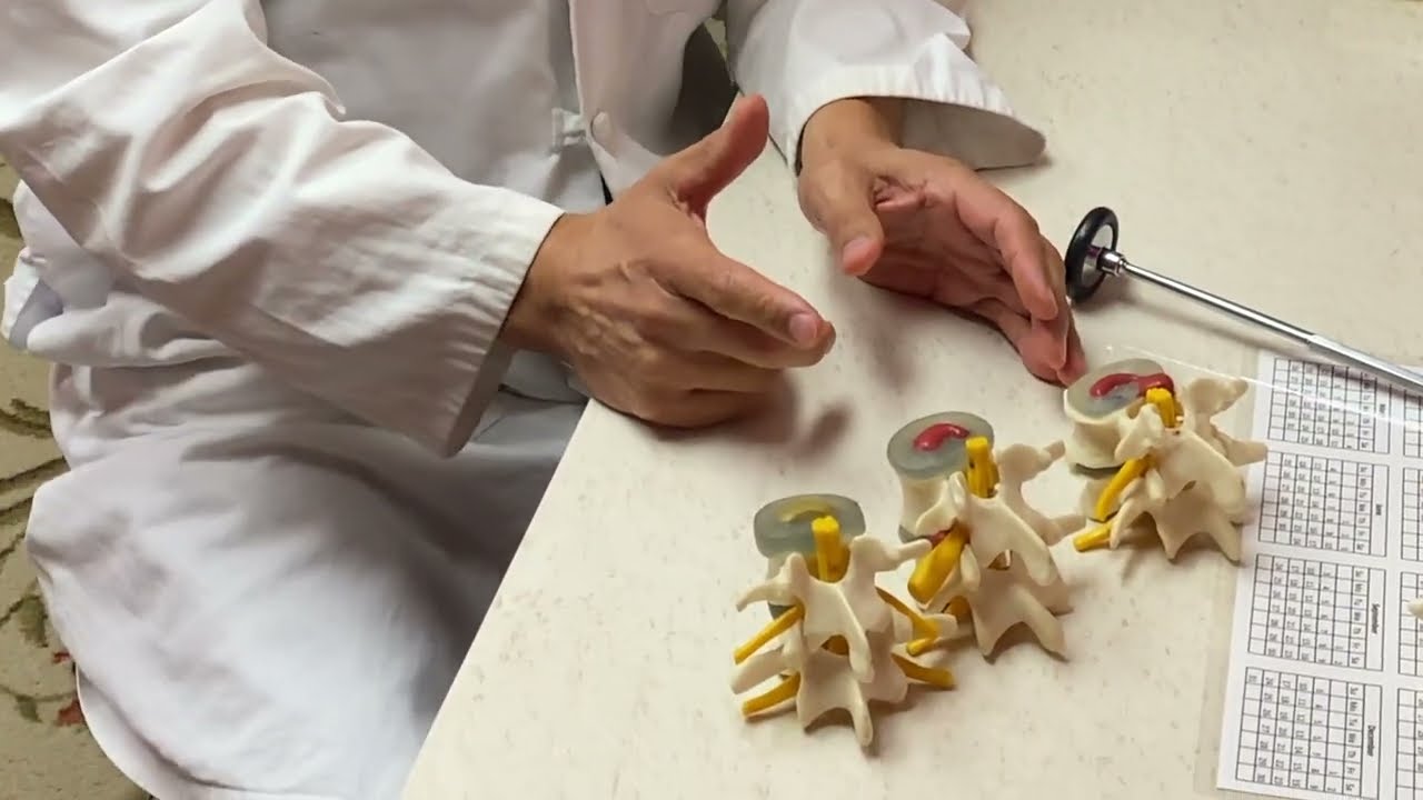 Do You Need Surgery? Here's the Difference Between a Normal Disc, Bulging Disc and Herniated Disc.