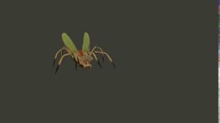 Spider Wasp Render 2