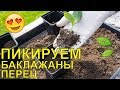 🔵 ПИКИРУЮ БАКЛАЖАНЫ И ПЕРЦЫ! 🔥