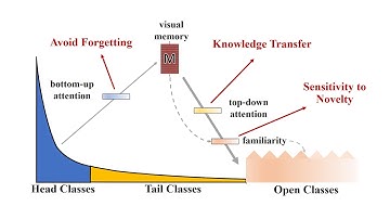 Large-Scale Long-Tailed Recognition in an Open World (CVPR 2019 Oral)