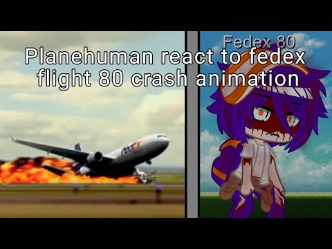 Planehuman react to Fedex express flight 80 - Crash animation