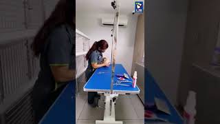 videoplayback (1)