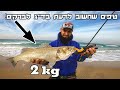 דייג לברקים מהחוף | טיפים חשובים לדייג מהחוף |  seabass fishing