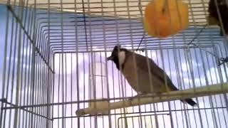 ٤ مارس ٢٠١٩