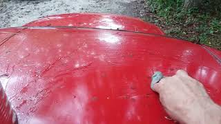 Remove Glue, Tar & Sap from your car paint easy! #realdetailing 