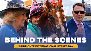 Behind The Scenes At The Juddmonte International Ebor Festival Day 1 Racing Tv