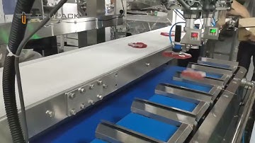 Delta Robot Automatic Loading & Weighing System