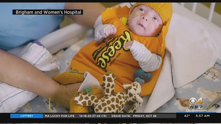 Babies at Brigham and Women's Hospital NICU dressed up for Halloween