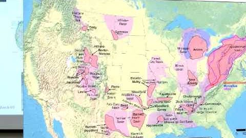 Natural Gas and CO2 Sequestration