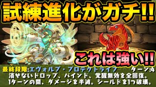 最新の試練進化がガチすぎる【スー☆パズドラ】