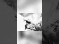 Pentagon UFO Film: Truth or Deception? #shorts