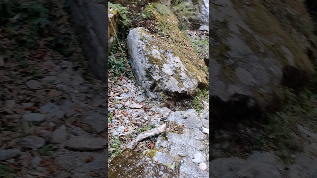 Waterfalls in forest while hiking down Sur Sungri Khal pass in Ramganga river valley