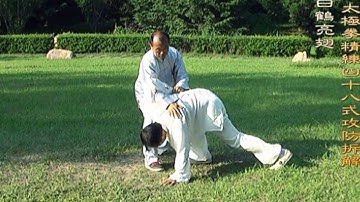 Form2 teaching：Buddha pounds mortar 第二式教学：金刚捣碓