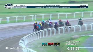 Vidéo de la course PMU PREMIO MARIO'S RIM