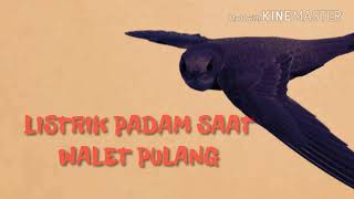Listrik padam saat walet pulang kandang