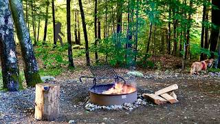 Best Hikes & Camping at Fort Dummer VT
