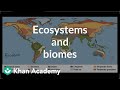 Ecosystem Dynamics and Community Interactions in Biology