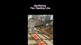 Set up of Pan feeder line, automatic pan feeding line system, ground feeding line from China