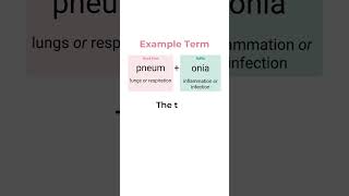 Medical Terminology: Combining Form- Pneum/o #shorts