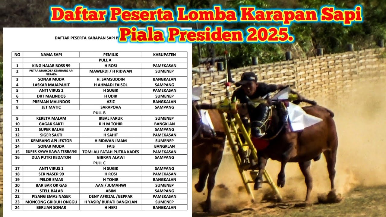 Daftar Peserta Lomba Karapan Sapi Piala Presiden 2025.
