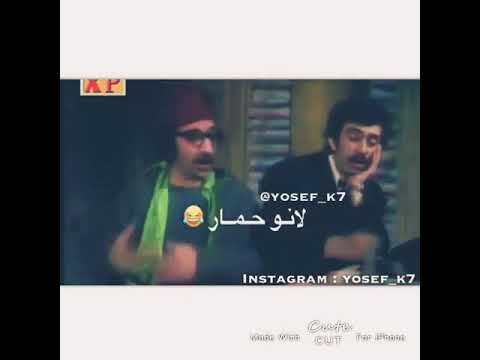 اهلق ازا حطو للحمار سطل مي سطل عرق