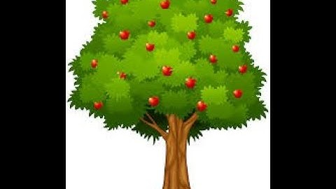 Quadratic Equations - Projectile Motion