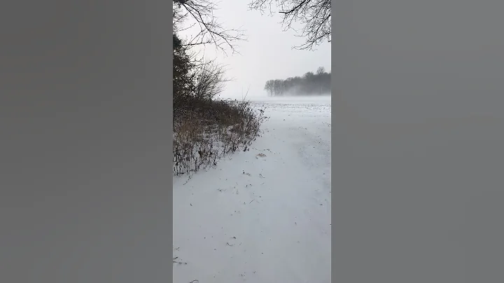 Snowing at the farm Polar vortex 2022