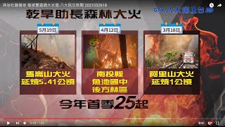 神祕杜鵑營地 植被豐富通大水窟 八大民生新聞 2021052618