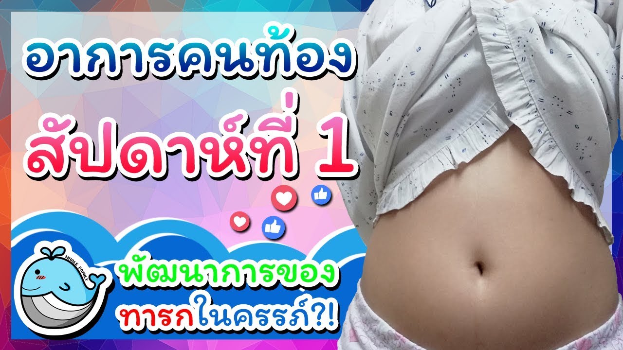 ที่ตรวจครรภ์ราคา  New  อาการคนท้องสัปดาห์ที่ 1: ประจำเดือนเพิ่งหมด | พัฒนาการลูกในท้อง | Whale Family