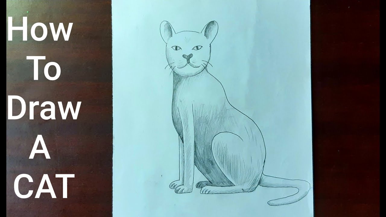 How to draw a cat easy// CAT Drawing For Beginners // Drawing for kids