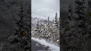 Winter Wonderland In Jasper On Oct 12Th