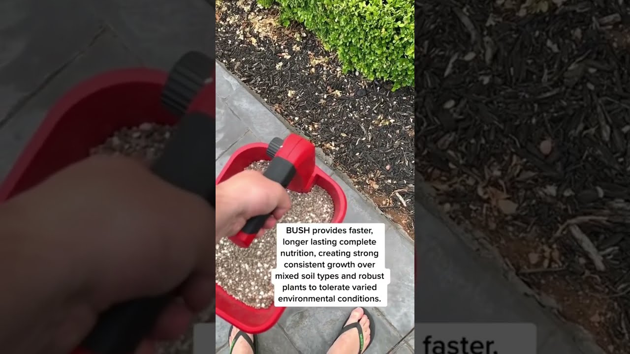What Fertiliser Do I Use On My Hedges Fertilizer Hedgetrimmer Lawnhub Fertilizers