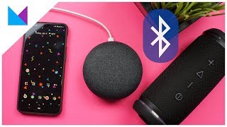Google Home + Bluetooth Speaker