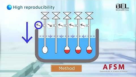 Automatic specific surface area/pore size distribution measurement instrument　BELSORP-miniX