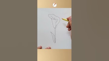 how to draw calla lily flower easy #shorts