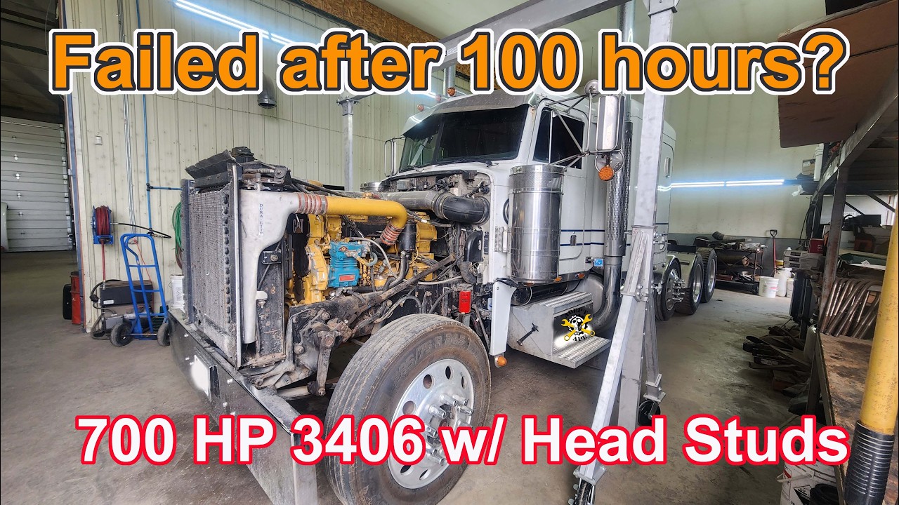 100 Hours of Operation, Already Failed?! This Cat is "Built Different."