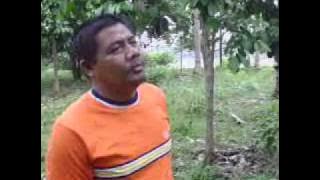 Apa Maumu
